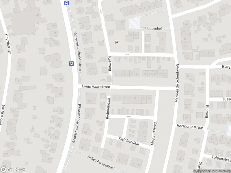 Overlastmelding Louis Haanstraat in Nieuwstadt