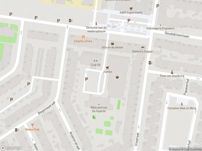 Ambulance met gepaste spoed naar de Anemoonstraat in 's-Gravenhage