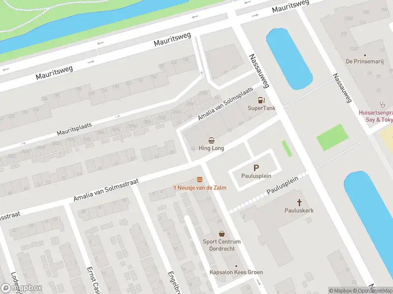 Ambulance met gepaste spoed naar de Amalia van Solmsstraat in Dordrecht