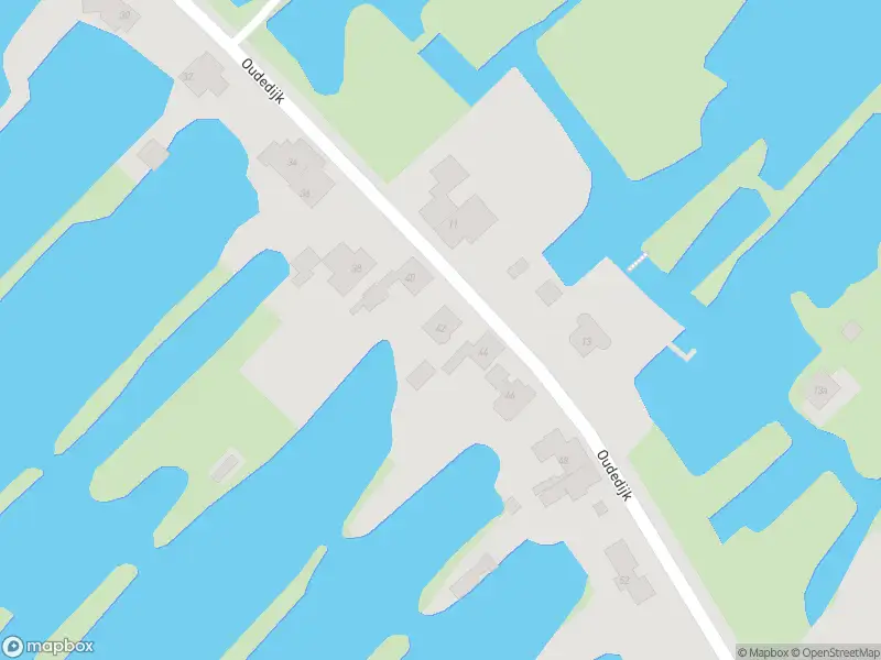 Overlastmelding Oudedijk in Tienhoven