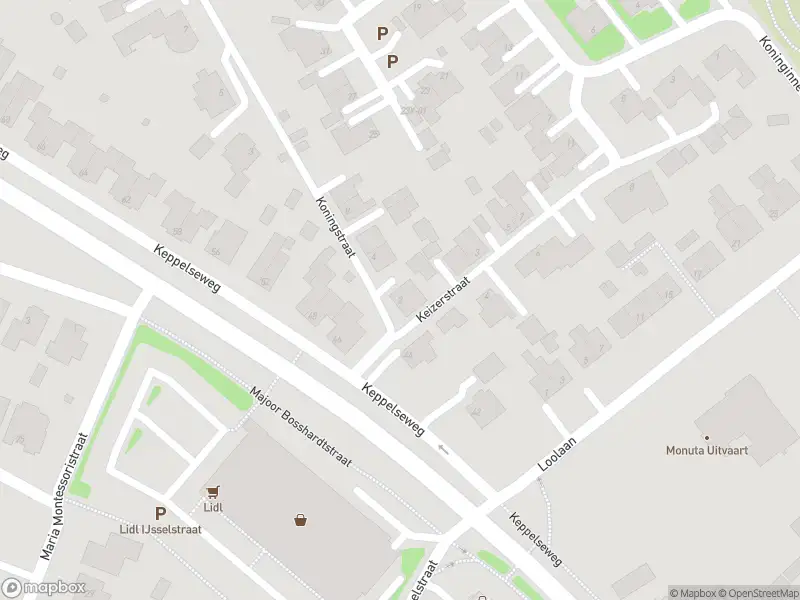 Overlastmelding Koningstraat in Doetinchem