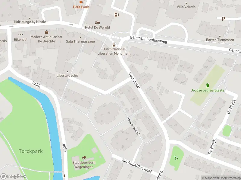 Politie naar de Van Hoornhof in Wageningen vanwege aanrijding met letsel