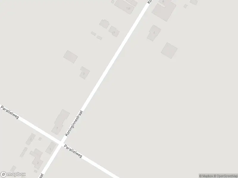 Overlastmelding Koninginnestraat in Nieuw Namen