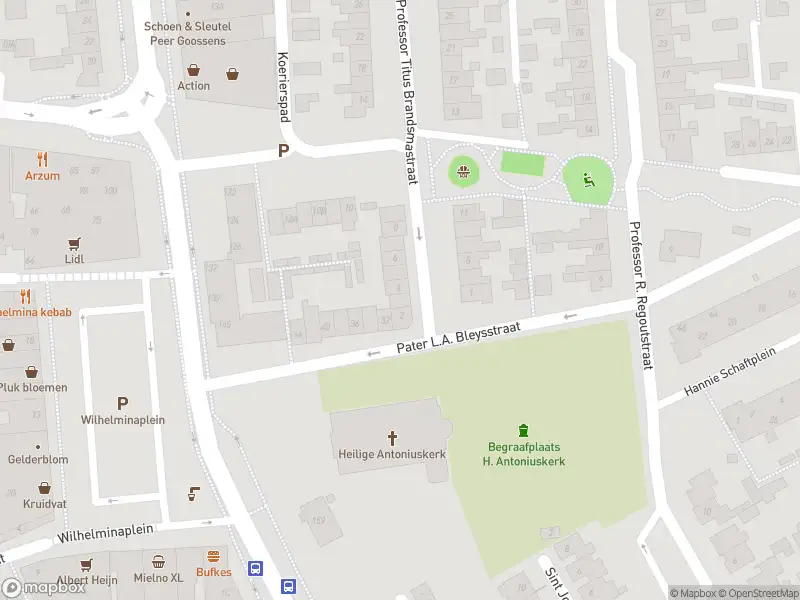 Overlastmelding Professor Titus Brandsmastraat in Best (North Brabant)