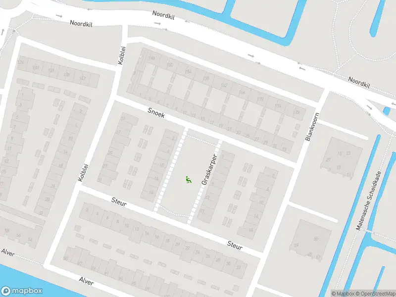 Ambulance met grote spoed naar de Graskarper in Papendrecht