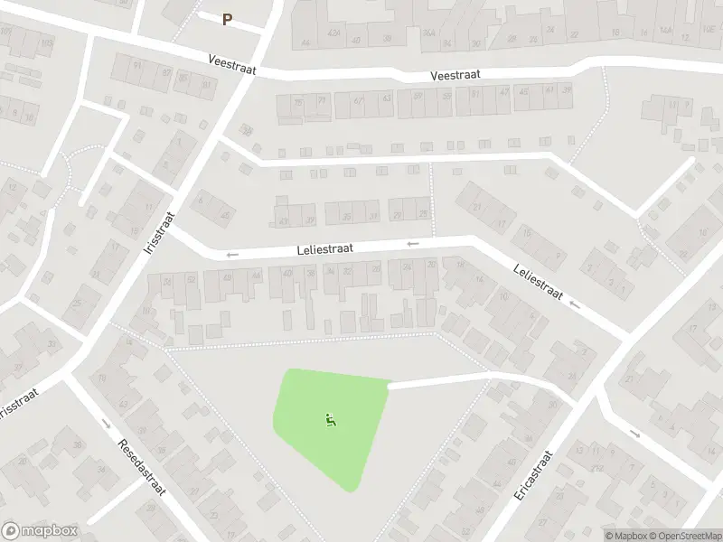 Overlastmelding Leliestraat in Sittard gesloten