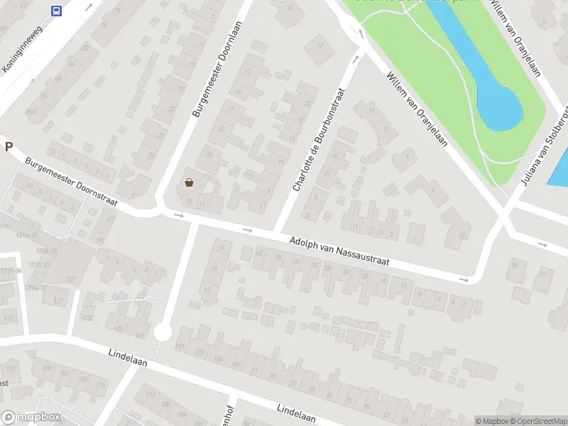 Overlastmelding Charlotte de Bourbonstraat in Zwijndrecht