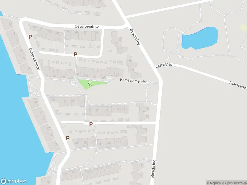 Overlastmelding Kamsalamander in Goirle