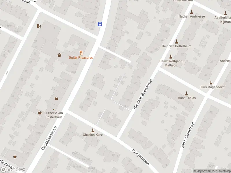 Brandweer met gepaste spoed naar de Guido Gezellestraat in Eindhoven vanwege stormschade