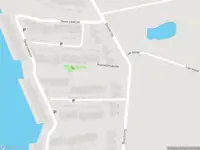 Overlastmelding Kamsalamander in Goirle