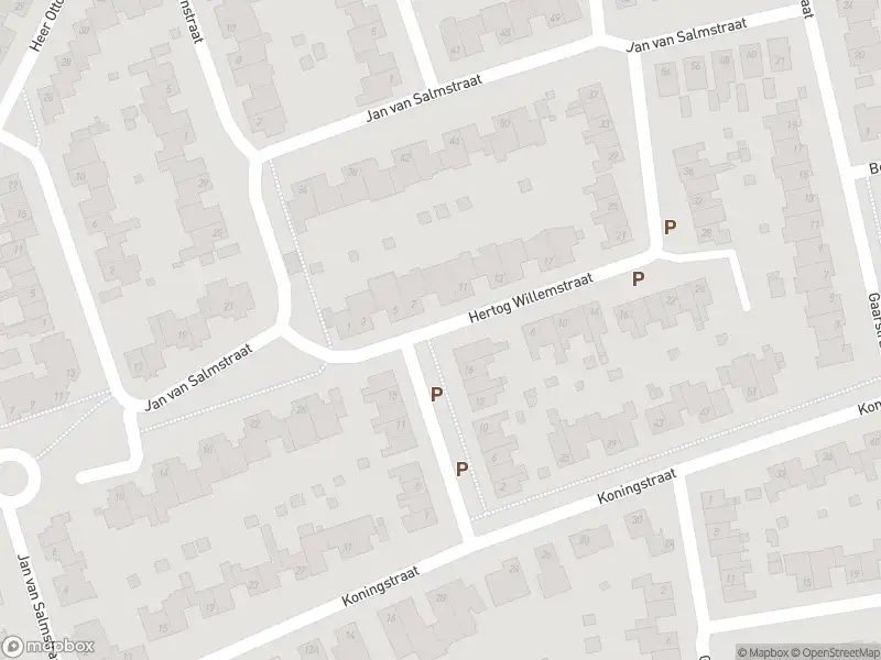 Anonieme overlastmelding Hertog Willemstraat in Born