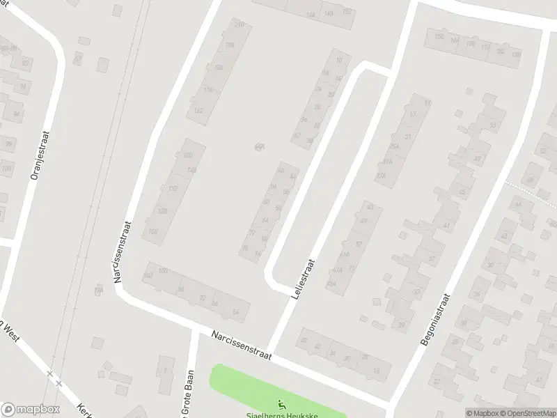 Overlastmelding Leliestraat in Echt