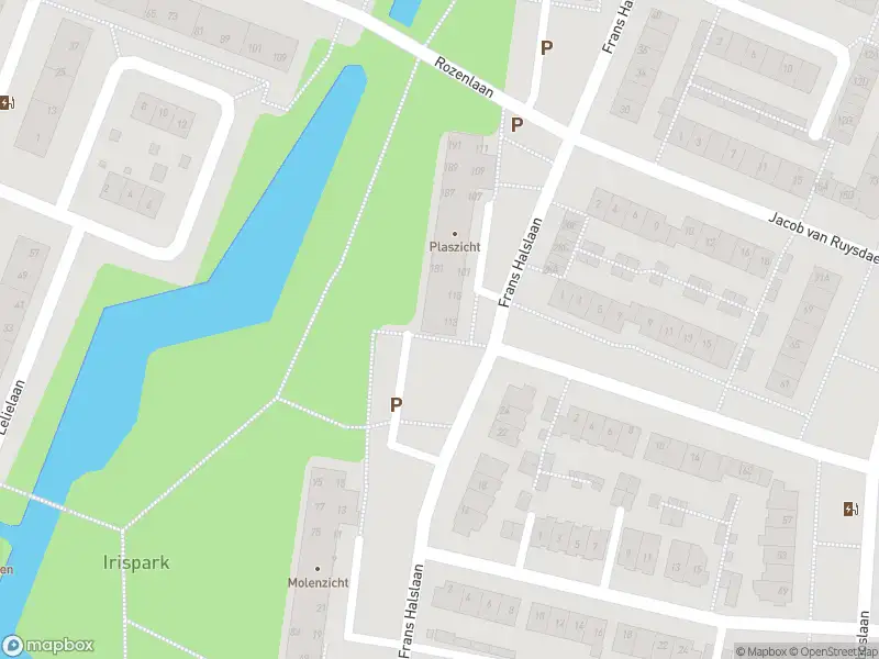 Overlastmelding Frans Halslaan in Oegstgeest gesloten