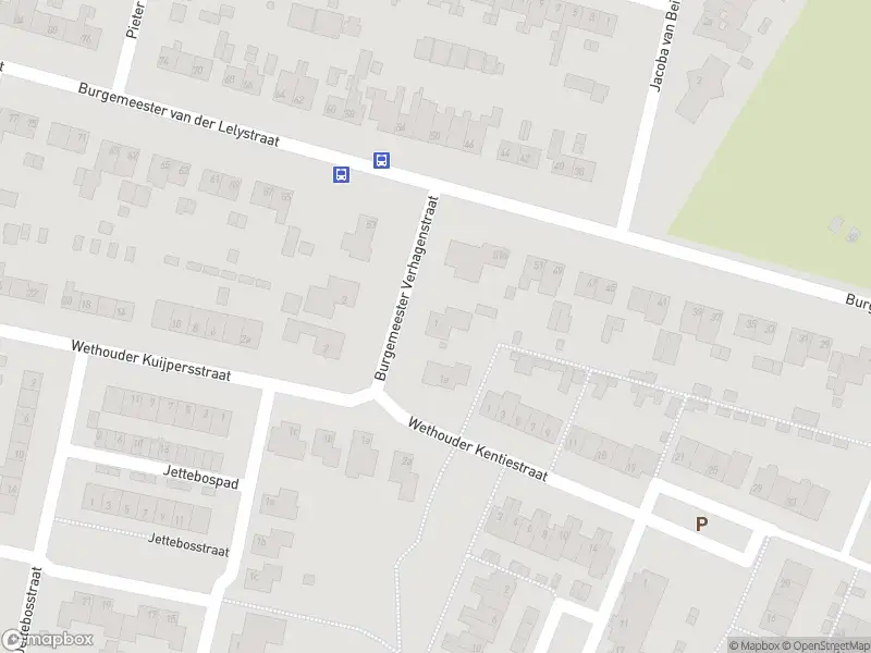 Overlastmelding Burgemeester van Rijswijkstraat in Woudrichem