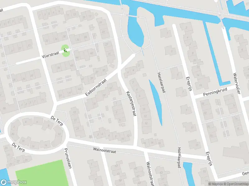 Ambulance met gepaste spoed naar de Kastanjestraat in Schoonhoven