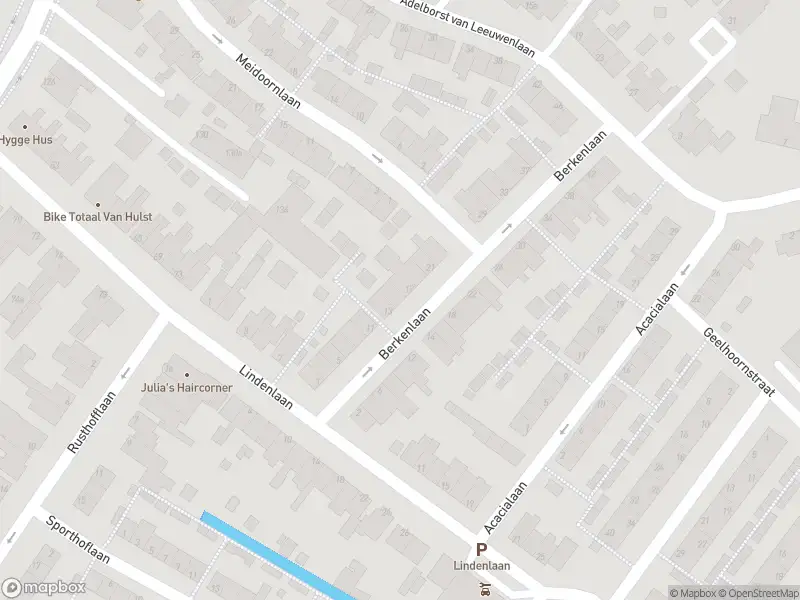 Overlastmelding Berkenlaan in Sassenheim