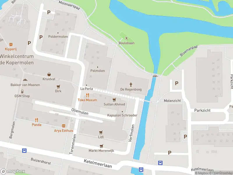 Brandweer met grote spoed naar de Watermolen in Leiden