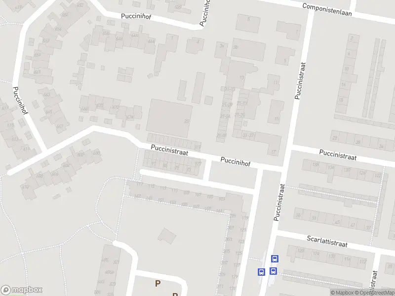 Overlastmelding Puccinistraat in Tilburg