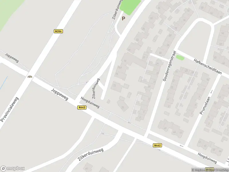 Overlastmelding Zilkerduinweg in De Zilk