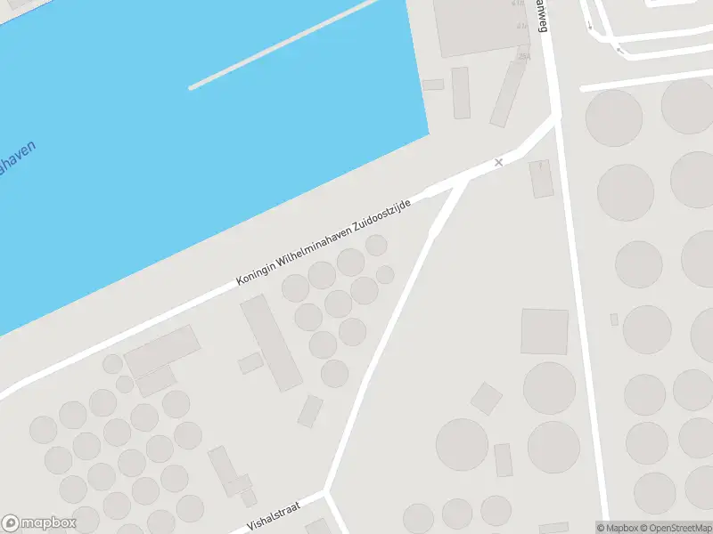 Ambulance met grote spoed naar de Koningin Wilhelminahaven ZOZ in Vlaardingen