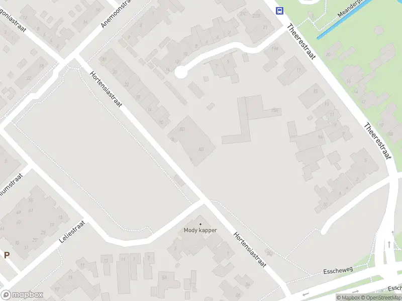 Overlastmelding Hortensiastraat in Sint-Michielsgestel gesloten