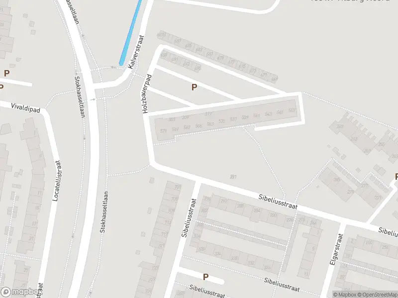 Overlastmelding Sibeliusstraat in Tilburg