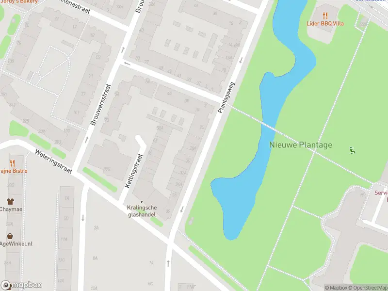 Ambulance met gepaste spoed naar de Plantageweg in Rotterdam