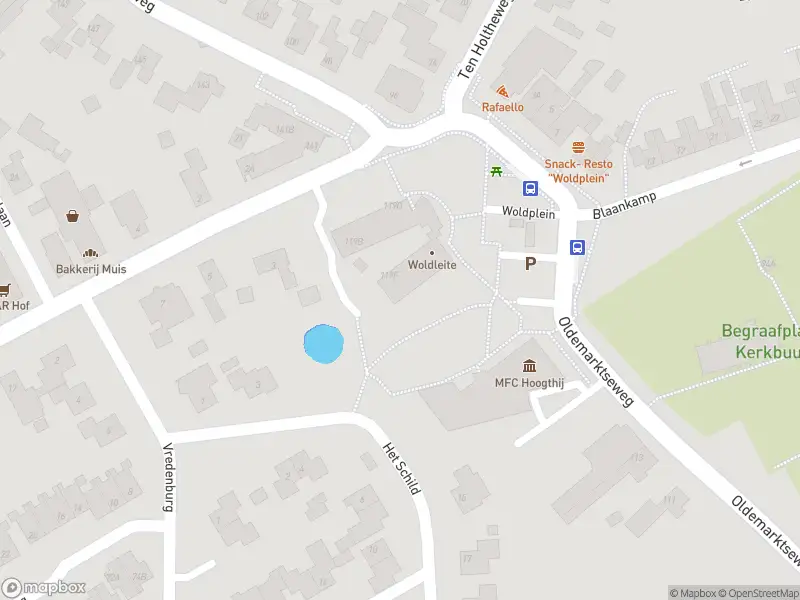 Brandweer met grote spoed naar de Oldemarktseweg in Steenwijkerwold vanwege middelgrote brand