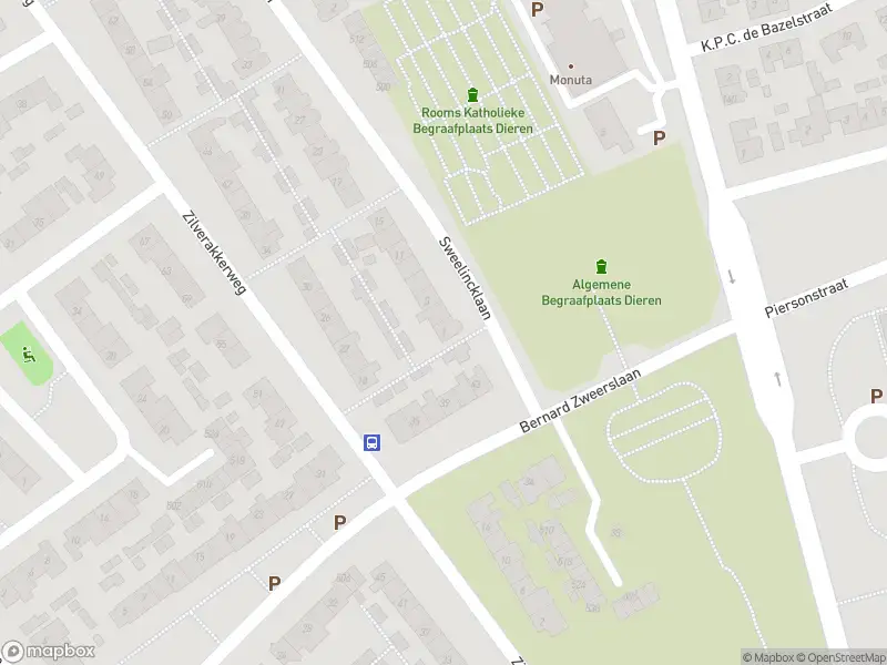 Overlastmelding Sweelincklaan in Dieren