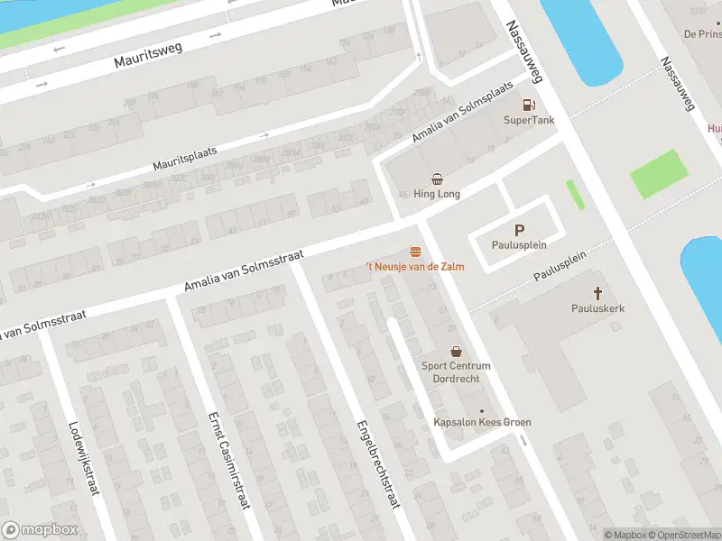 Ambulance met gepaste spoed naar de Amalia van Solmsstraat in Dordrecht