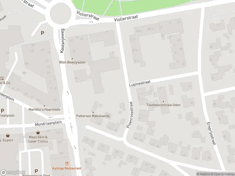 Politie naar de Pioenroosstraat in Uden vanwege ongeval met letsel
