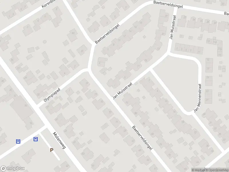 Ambulance met gepaste spoed naar de Jan Muisstraat in Roggel