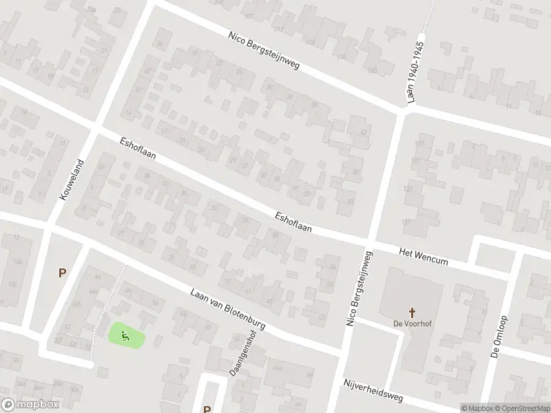 Overlastmelding Nico Bergsteijnweg in Woudenberg