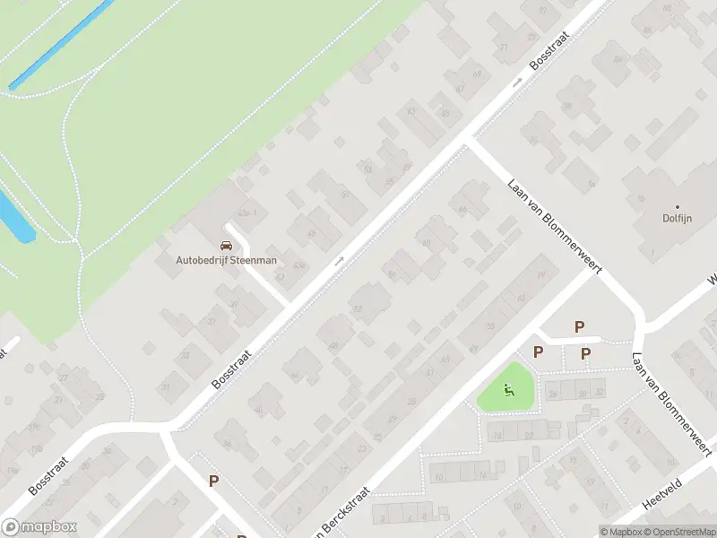 112 melding Brandweer met gepaste spoed naar de Park Sparrendaal in Driebergen-Rijsenburg vanwege stormschade