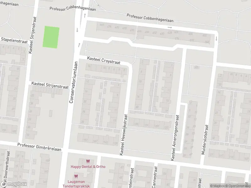 Overlastmelding Kasteel Tongelaerstraat in 5037TN Tilburg