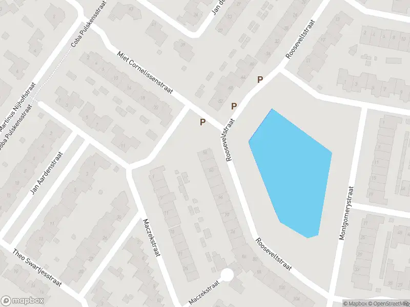 Overlastmelding Rooseveltstraat in Dongen