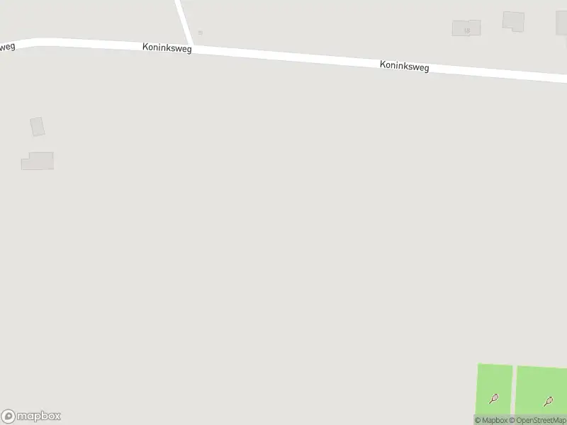 Brandweer met grote spoed naar de Koninksweg in Saasveld vanwege afhijsen patient