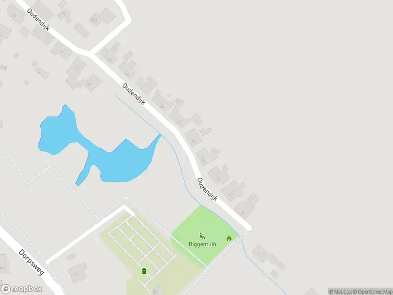 Ambulance met grote spoed naar de Oudendijk in Hoornaar