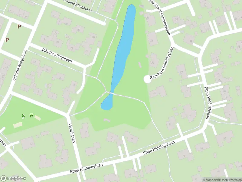 Brandweer met gepaste spoed naar de Schulte Alinghlaan in Gasselte