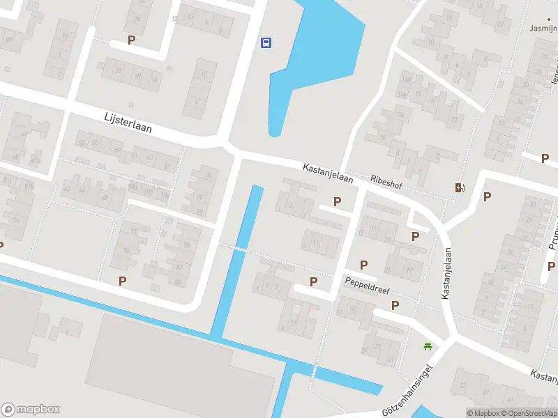 Ambulance met gepaste spoed naar de Kastanjelaan in Bleiswijk