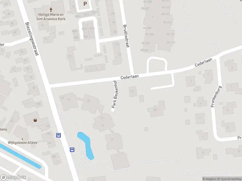 Overlastmelding Cederlaan in Kapelle