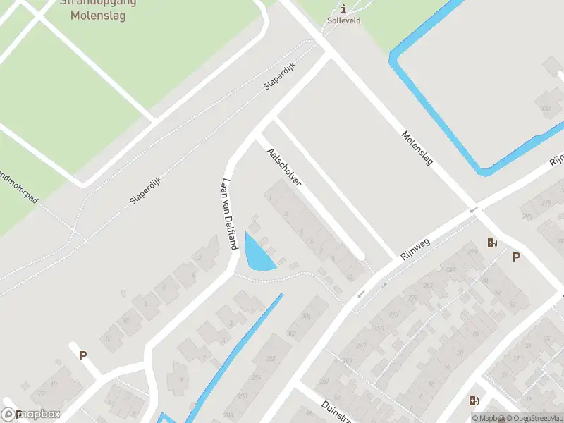 Ambulance met gepaste spoed naar de Aalscholver in Monster