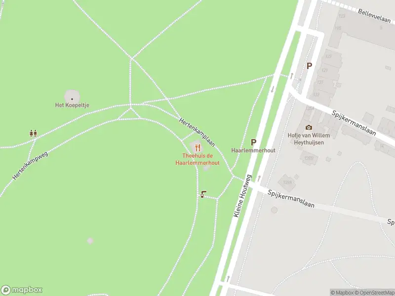 Brandweer met gepaste spoed naar de Hertenkamplaan in Haarlem vanwege stormschade