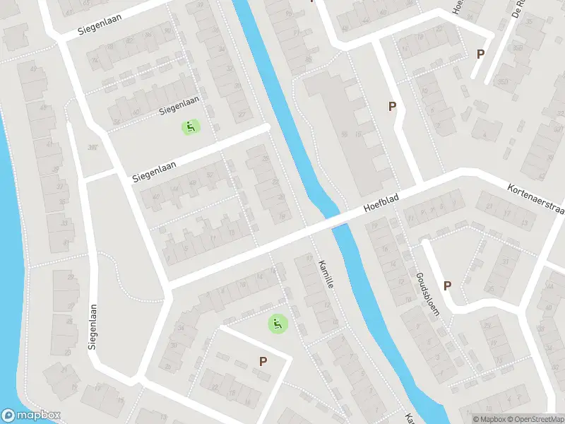 Overlastmelding Kamille in Rijnsburg gesloten