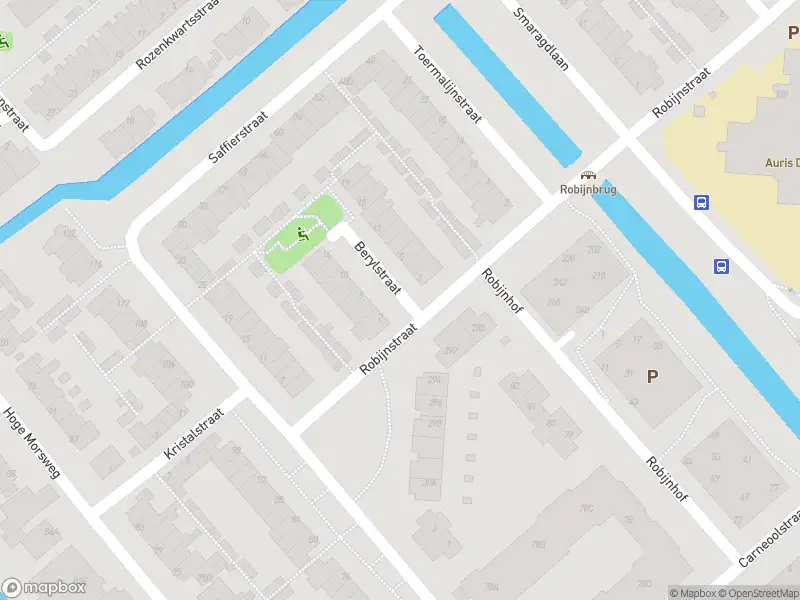 Ambulance met gepaste spoed naar de Berylstraat in Leiden