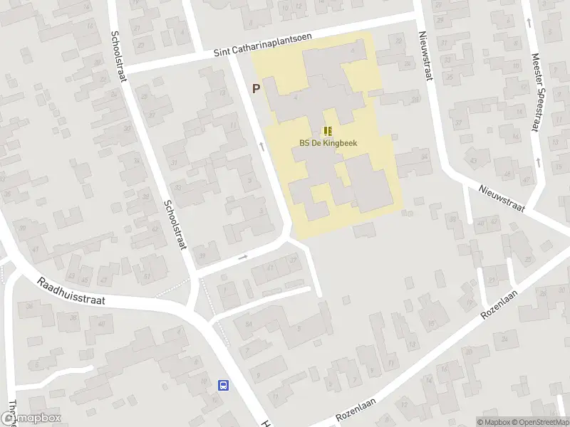 Overlastmelding Sint Catharinaplantsoen in Grevenbicht