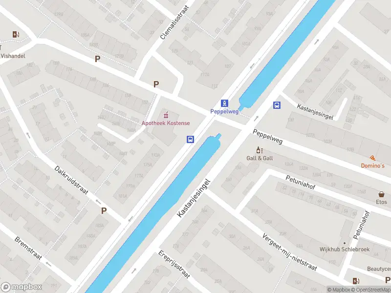 Ambulance met gepaste spoed naar de Peppelweg in Rotterdam