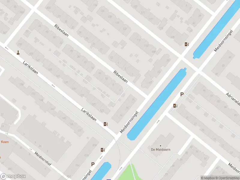 Ambulance met gepaste spoed naar de Ribeslaan in Rotterdam