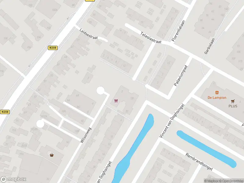 Overlastmelding Vincent van Goghsingel in Hillegom