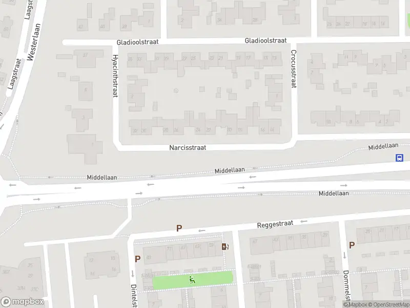 Overlastmelding Middellaan in Dongen